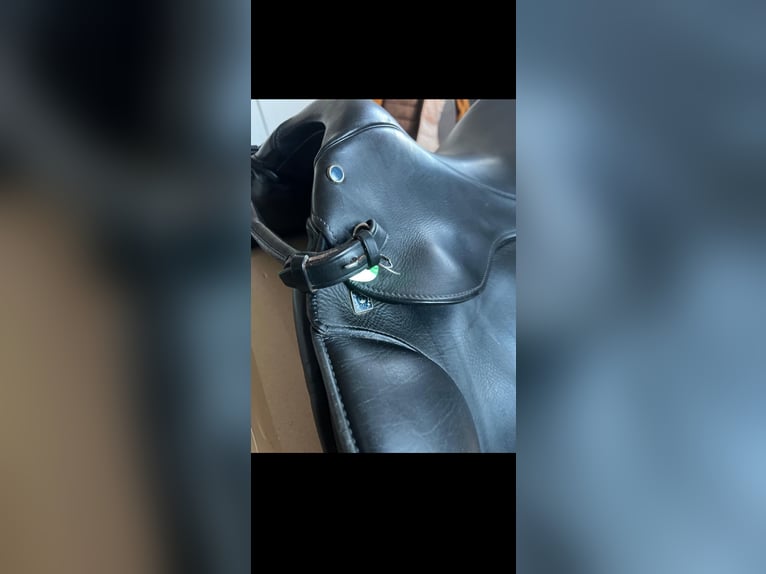 Stübben virginia dressursattel