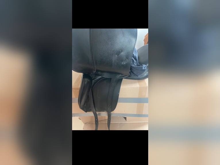 Stübben virginia dressursattel