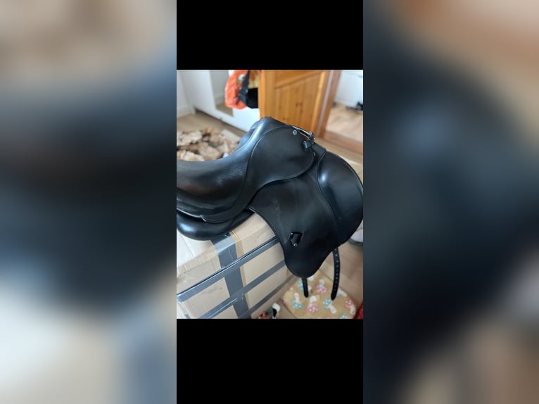 Stübben virginia dressursattel