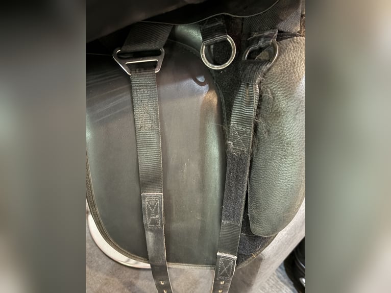 Thorowgood T4 Dressursattel (Tausch möglich)