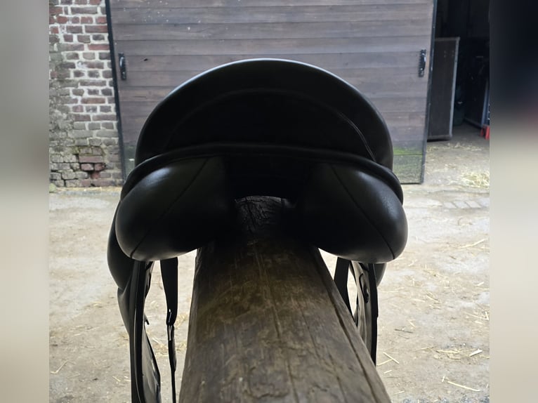 Toller PDS Dressursattel Carl Hester Aberdeen 17,5 Zoll Monoblatt 