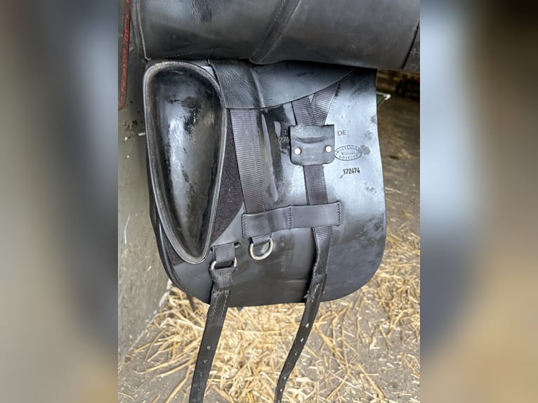 Tomax BTS Albion Dressursattel, 17,5, mittlere Kammerweite