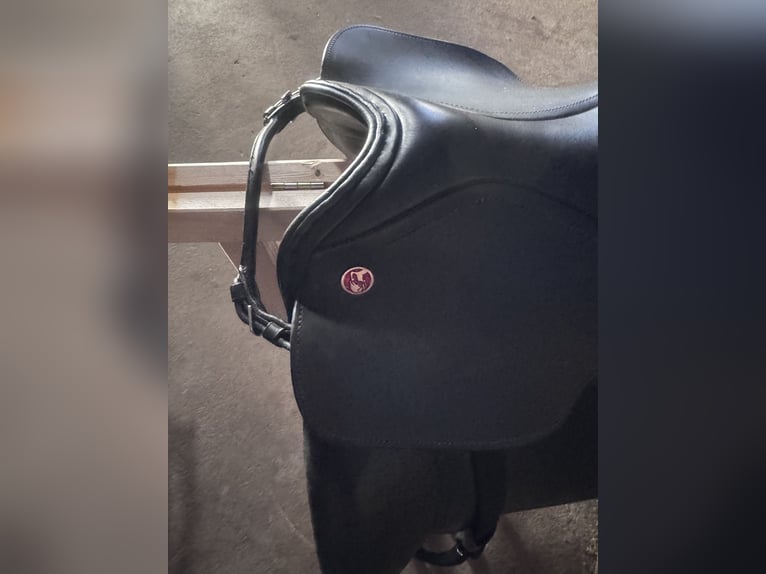 Ulla Salzgerber Exclusiv  Kieffer/ Neuwertig