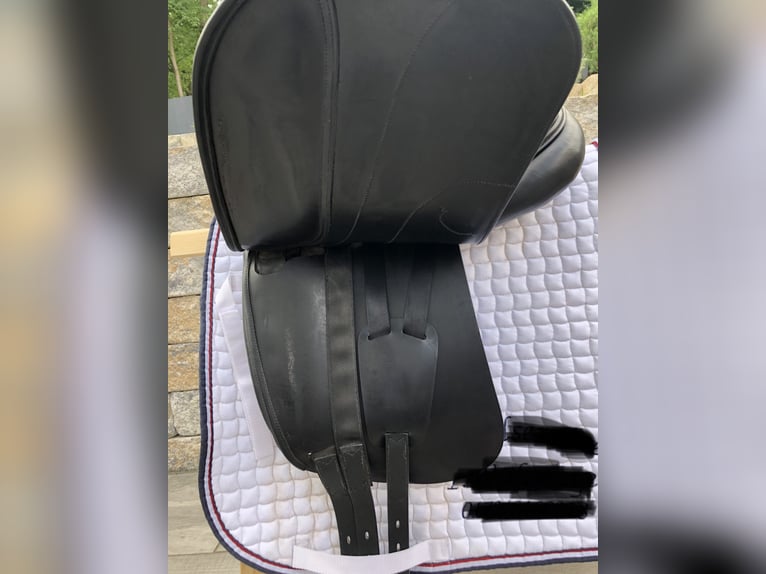Verkaufe gut gepflegten Amerigo Vega Dressursattel 