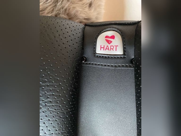 Wintec 500 Dressursattel HART 15" mit komplettes Set Absolut Neuwertig