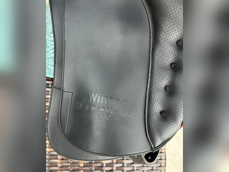 Wintec Isabell Icon Dressursattel Neuwertig