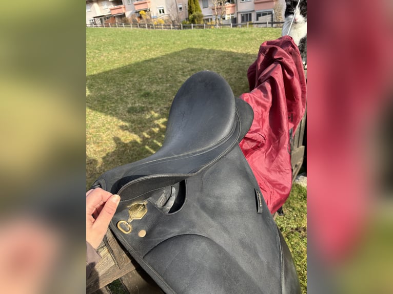 Wintec Pro 16 1/2“