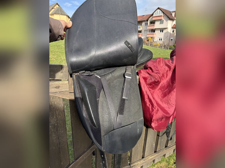 Wintec Pro 16 1/2“