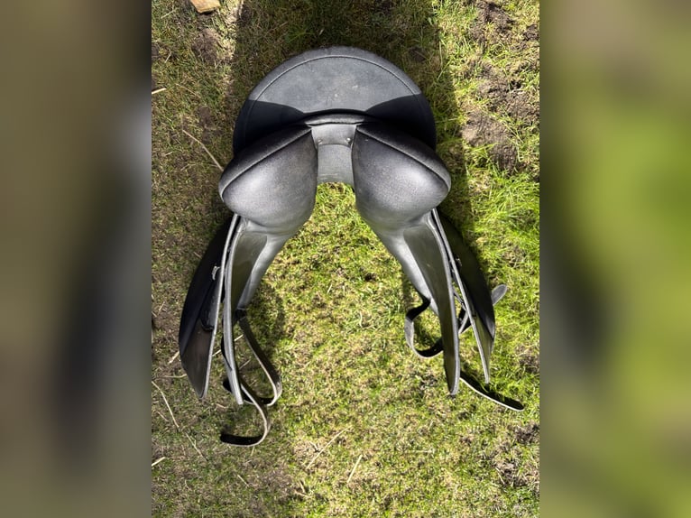 Wintec Pro 16 1/2“