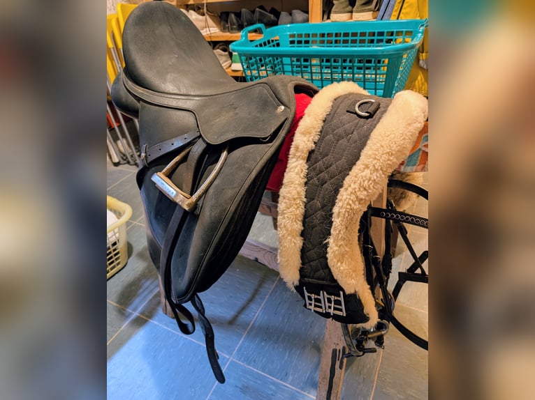 WinTec Pro Dressur 17'' Sattel