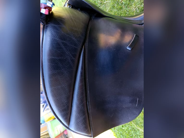 Wunderschöner bequemer  Dressursattel "Amaretto " von Pfiff, KW 32, 17,5 Zoll