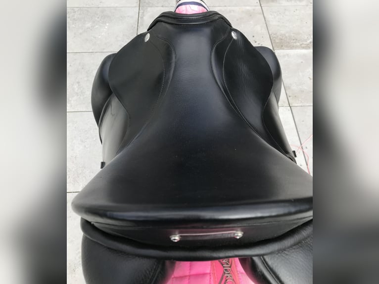 Zaldi New Kent Dressursattel – 17,5'' – neuwertig - kaum benutzt – VB 650 €