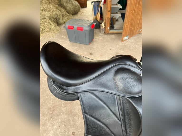 Blómatún Eldgæes 18 Zoll Latex Islandpferdesattel