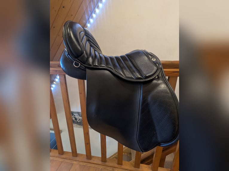 Championrider Pleasure 3