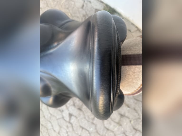 EQUES CHAMPION Sattel Isländer Top Zustand!