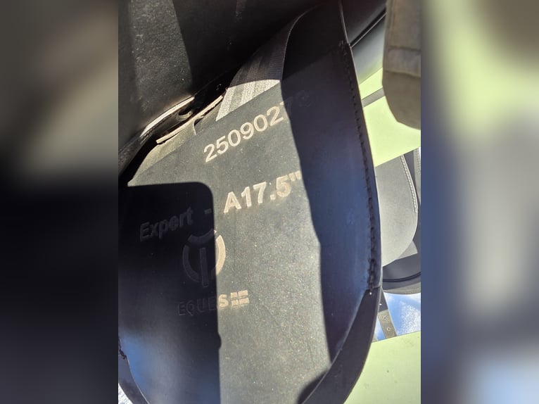 Eques Sattel Expert 17,5 Zoll - nagelneu