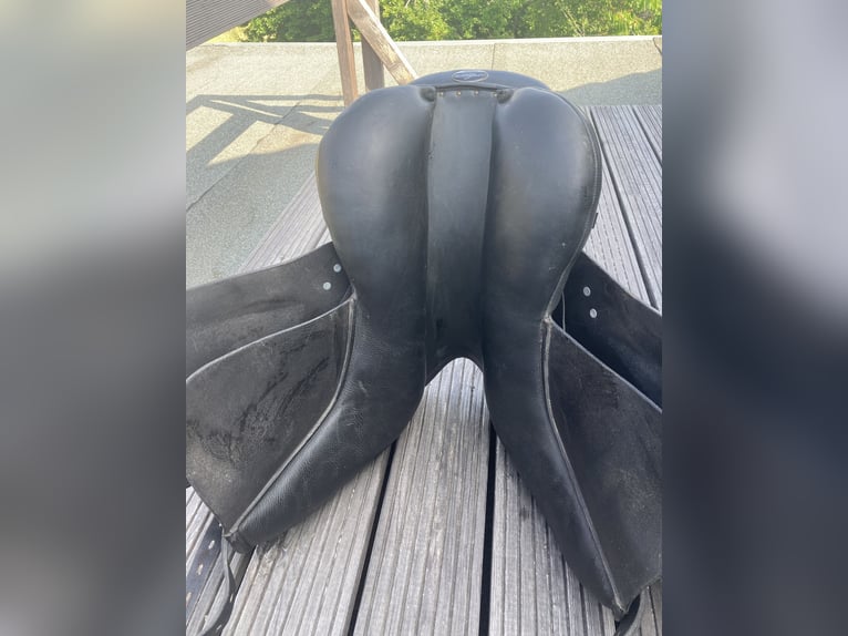 Hilbar Royal classic 