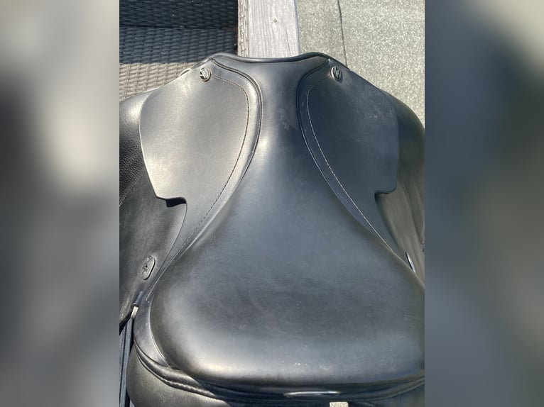 Hilbar Royal classic 