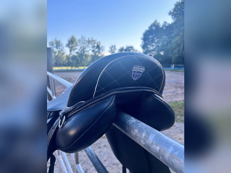 Hilbar Royal Exklusiv "Experience Pro“  17,5"