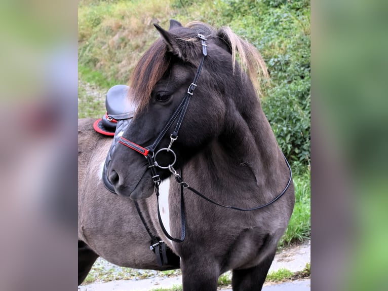 HILBAR Royal "Passion" - Sonderausstattung