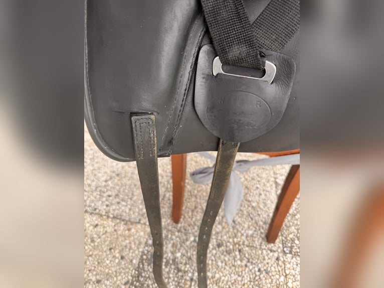 Hilbar Royal Revolution 17,5“ Wollfüllung Islandpferd
