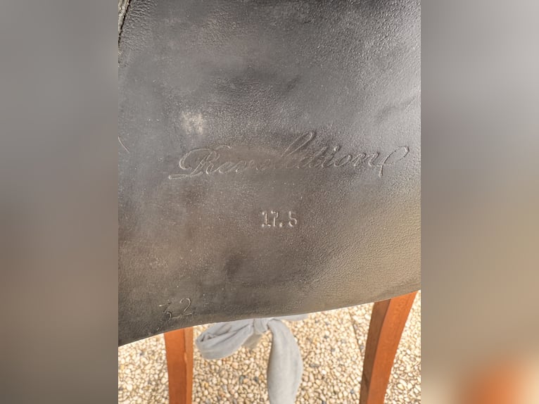 Hilbar Royal Revolution 17,5“ Wollfüllung Islandpferd