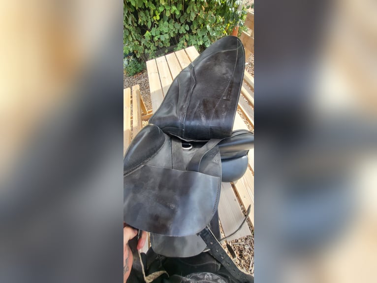 Hrimnir Master 17,5 Zoll