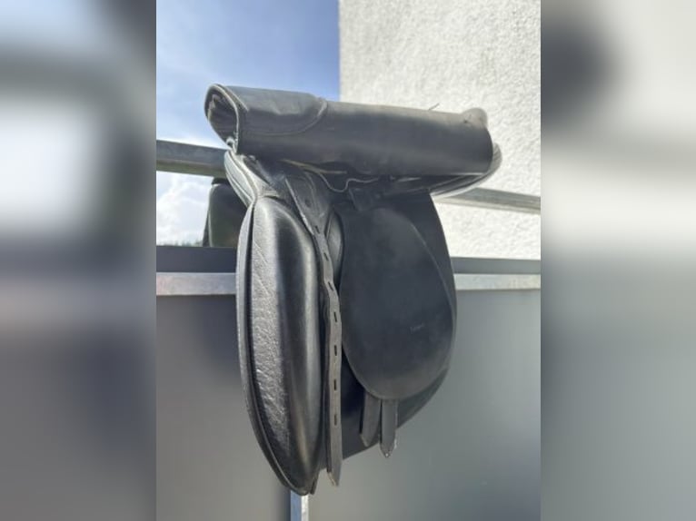 Islandpferde Sattel Ástund Super – 17,5'' (42 cm)