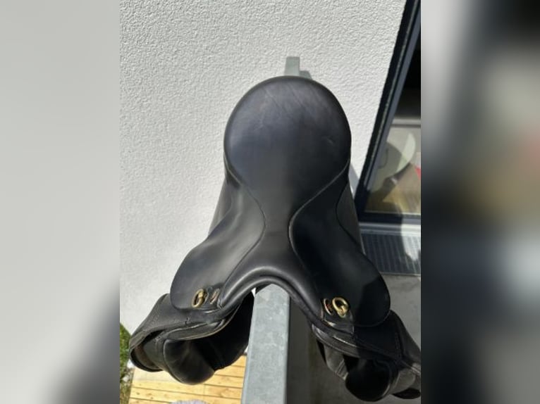 Islandpferde Sattel Ástund Super