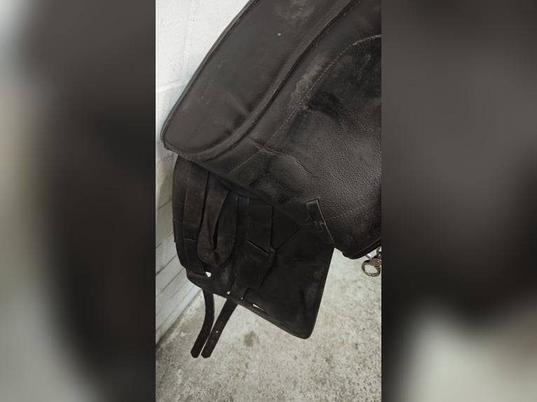 Islandpferdesattel von PS Gangpferdesattel