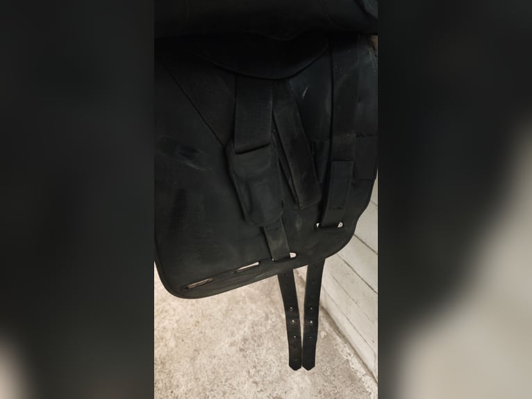 Islandpferdesattel von PS Gangpferdesattel