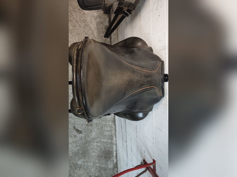 Islandpferdesattel von PS Gangpferdesattel