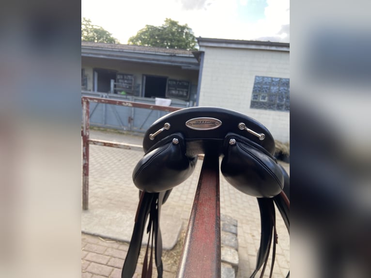 Islandsattel Stübben BH Adventure 