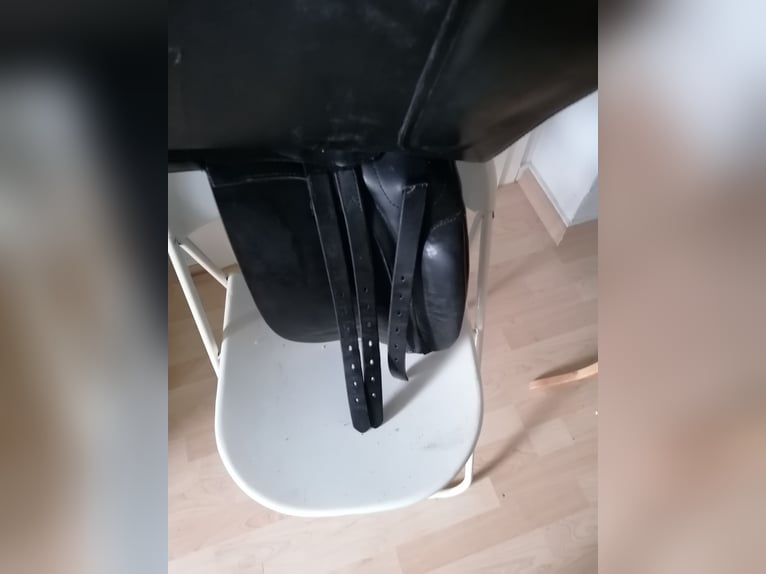 Islandsattel Töltsattel SK Isländer Isi Sattel