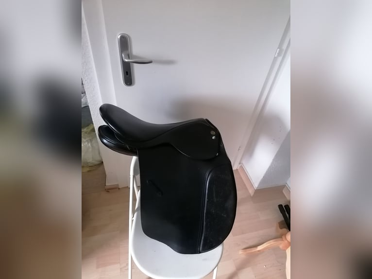 Islandsattel Töltsattel SK Isländer Isi Sattel