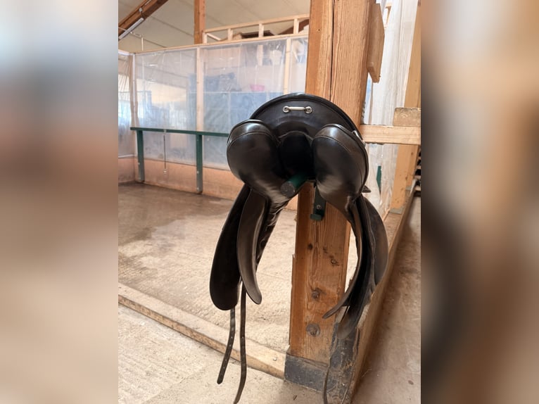 Kieffer Isländersattel