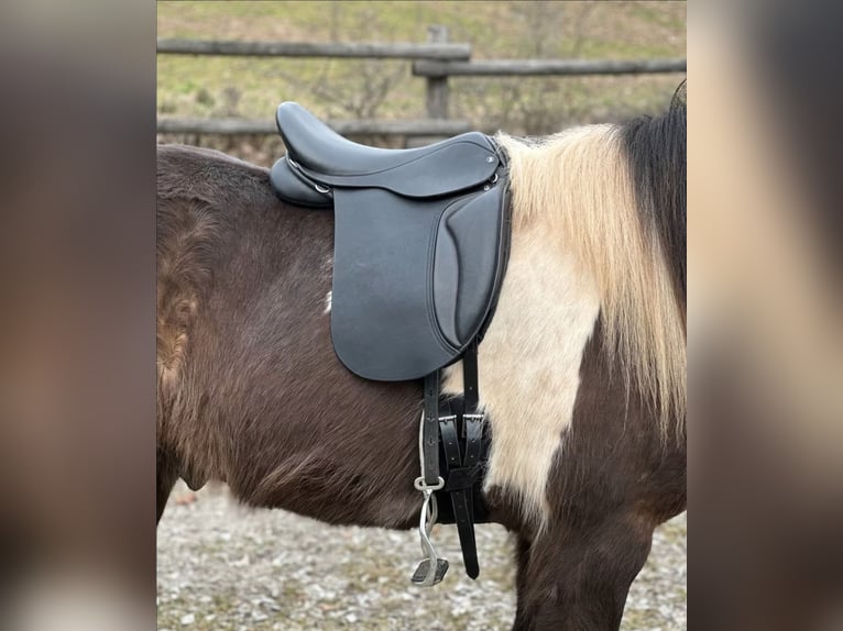 Kurzer Islandpferdesattel 40 cm,  17“ KW 34 Probeversand — Für breite Isländer — Töltsattel 