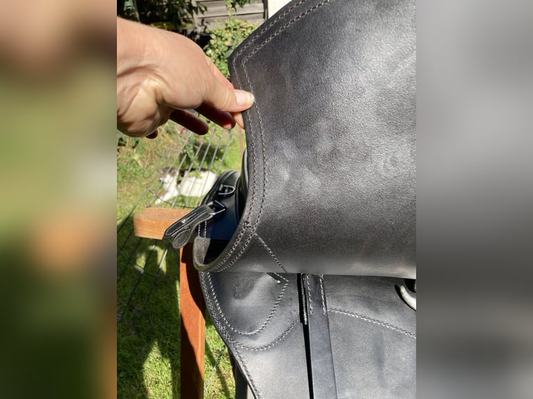 La Selle Agile Lederbaumsattel von Isländstute getragen