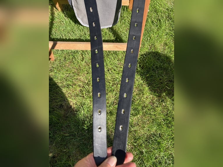 La Selle Agile Lederbaumsattel von Isländstute getragen