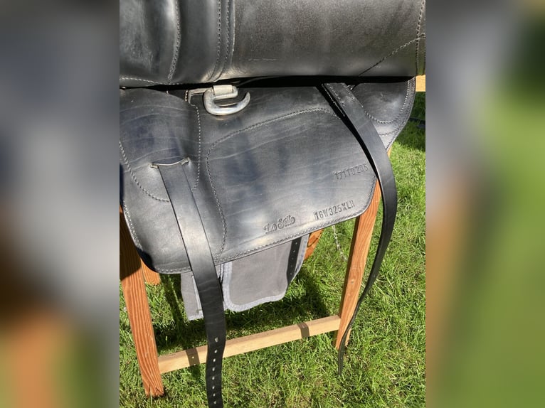 La Selle Agile Lederbaumsattel von Isländstute getragen