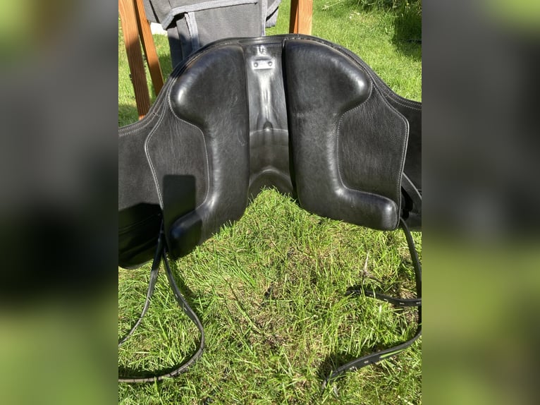 La Selle Agile Lederbaumsattel von Isländstute getragen