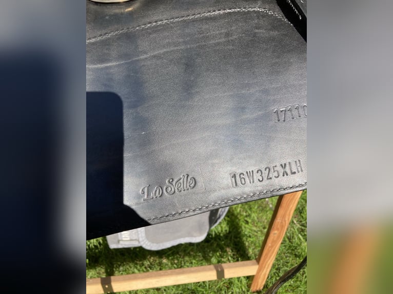 La Selle Agile Lederbaumsattel von Isländstute getragen