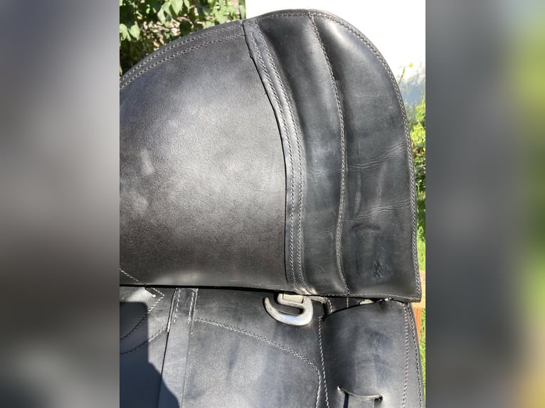 La Selle Agile Lederbaumsattel von Isländstute getragen