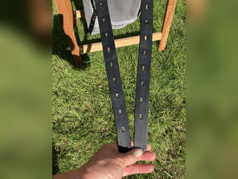 La Selle Agile Lederbaumsattel von Isländstute getragen