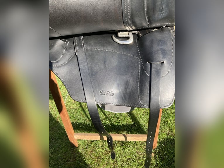 La Selle Agile Lederbaumsattel von Isländstute getragen