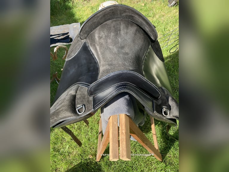 La Selle Agile Lederbaumsattel von Isländstute getragen