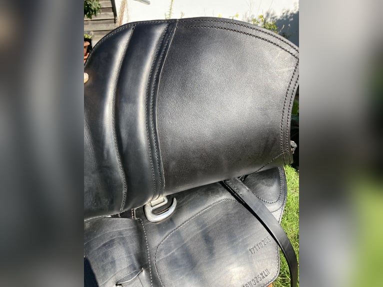 La Selle Agile Lederbaumsattel von Isländstute getragen