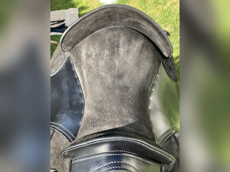 La Selle Agile Lederbaumsattel von Isländstute getragen