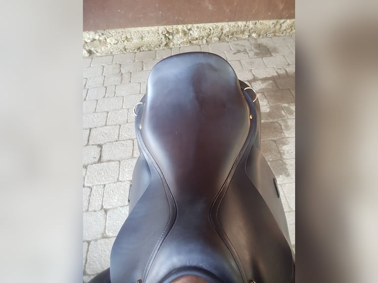 Labelle Islandsattel 