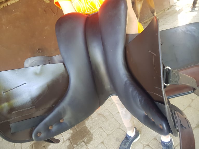 Labelle Islandsattel 